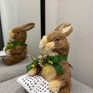 Uskršnji zec sa knjigom