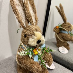 Zec sa košaricom na leđima